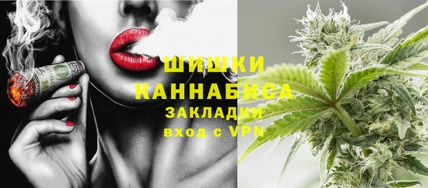 Альфа ПВП Аркадак