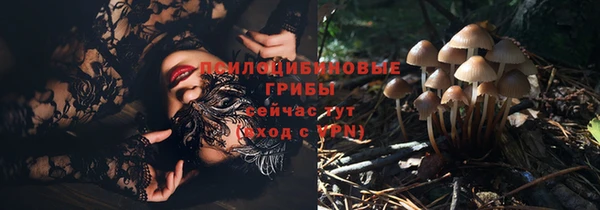 ALPHA PVP Армянск