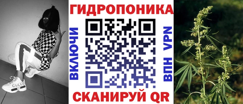 Бошки марихуана VHQ Кемерово